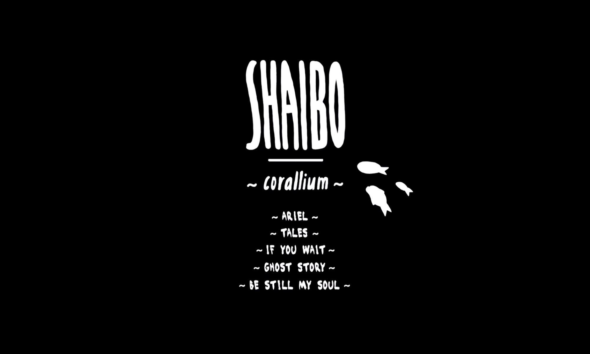 Shaibo