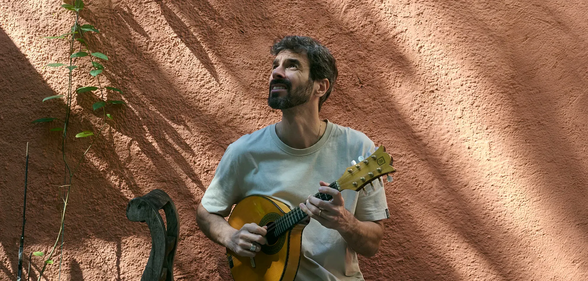 Pedro Silveira