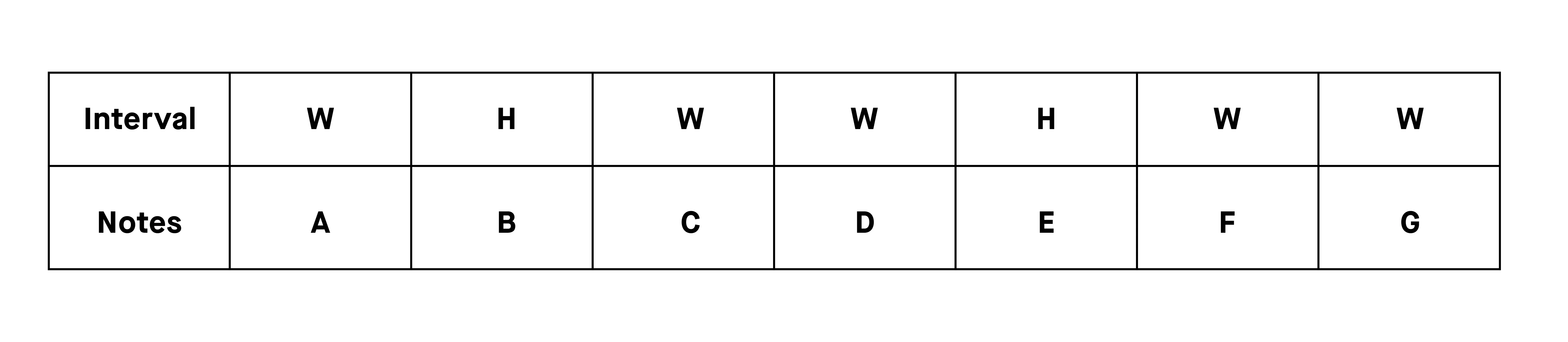 the_basics_of_a_minor.webp